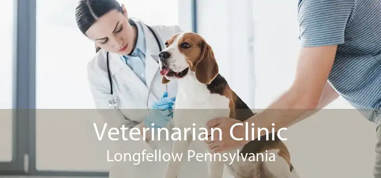 Veterinarian Clinic Longfellow Pennsylvania