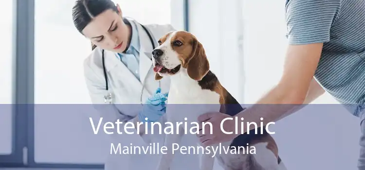 Veterinarian Clinic Mainville Pennsylvania