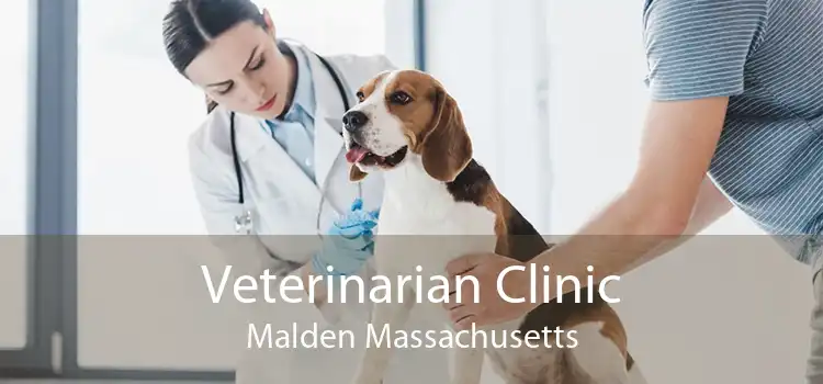 Veterinarian Clinic Malden Massachusetts