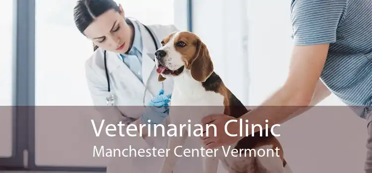 Veterinarian Clinic Manchester Center Vermont