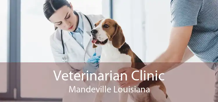 Veterinarian Clinic Mandeville Louisiana