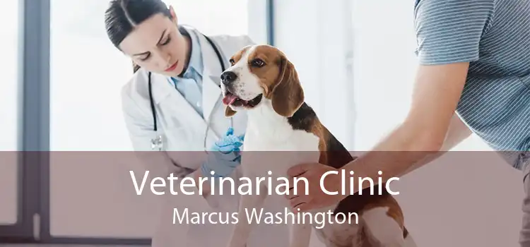 Veterinarian Clinic Marcus Washington