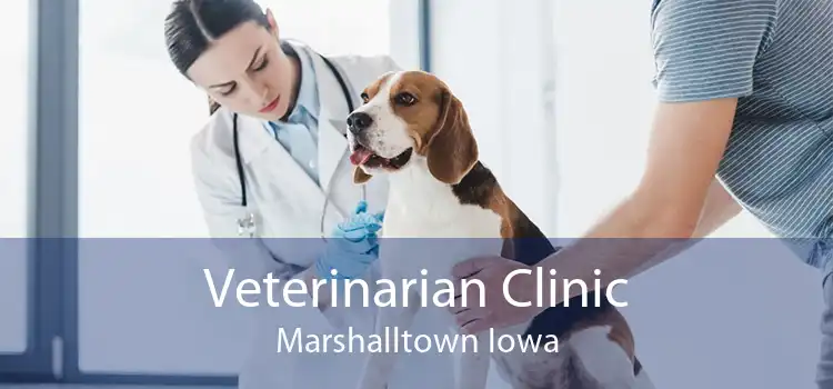 Veterinarian Clinic Marshalltown Iowa
