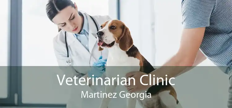 Veterinarian Clinic Martinez Georgia