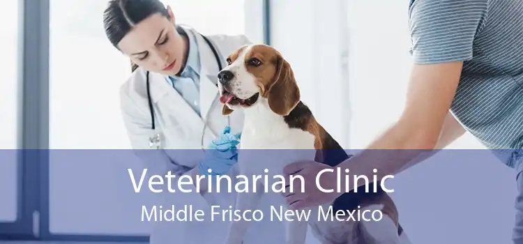 Veterinarian Clinic Middle Frisco New Mexico