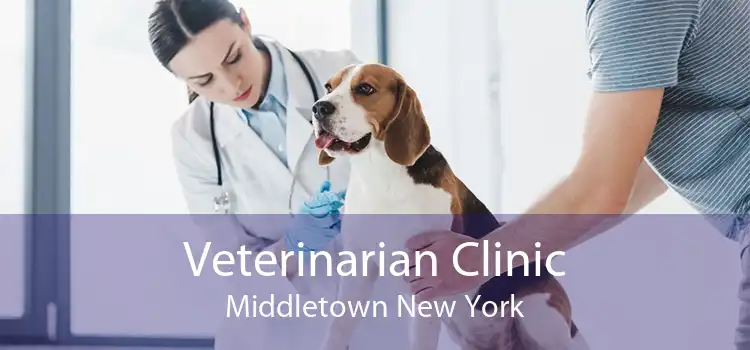 Veterinarian Clinic Middletown New York
