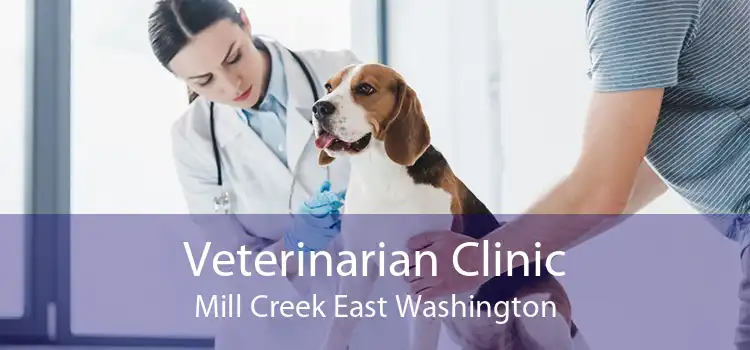 Veterinarian Clinic Mill Creek East Washington