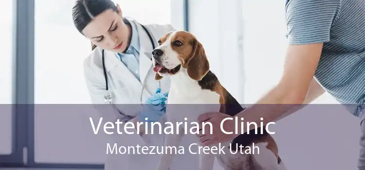 Veterinarian Clinic Montezuma Creek Utah