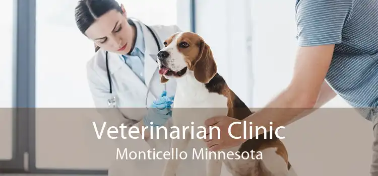 Veterinarian Clinic Monticello Minnesota