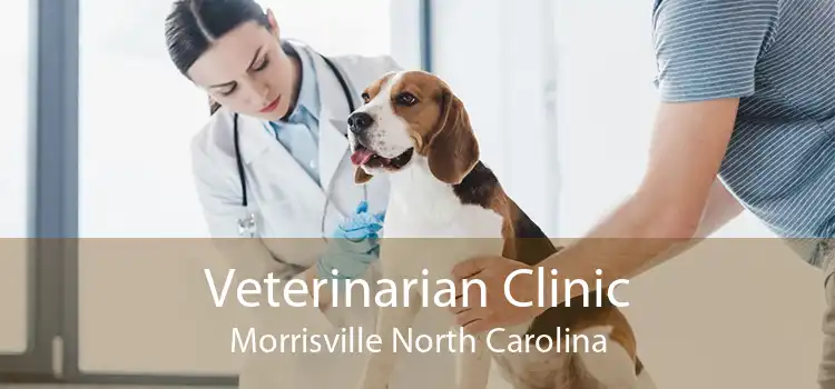 Veterinarian Clinic Morrisville North Carolina