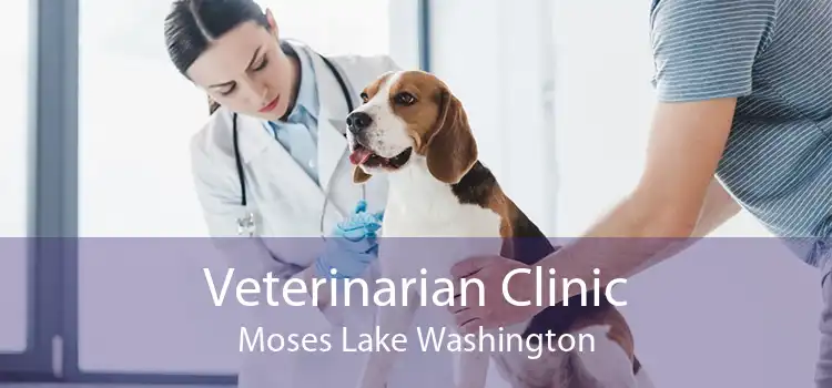 Veterinarian Clinic Moses Lake Washington