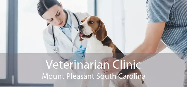 Veterinarian Clinic Mount Pleasant South Carolina