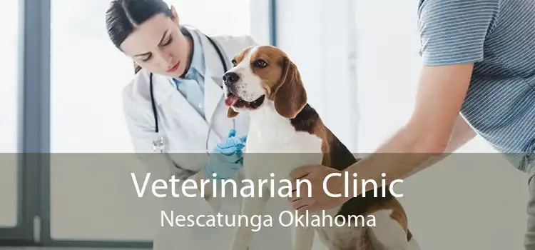 Veterinarian Clinic Nescatunga Oklahoma