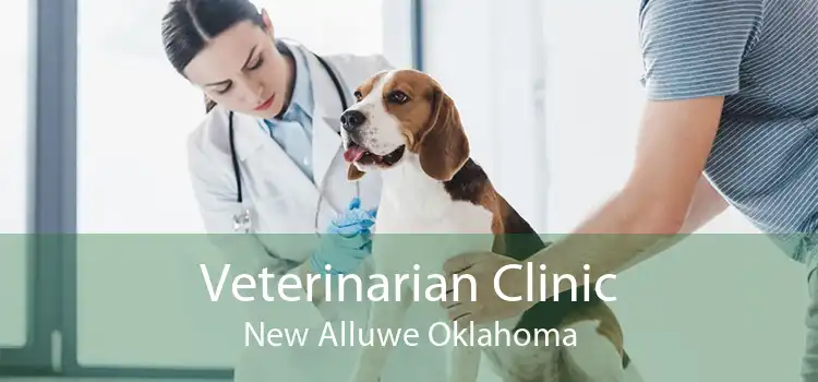 Veterinarian Clinic New Alluwe Oklahoma
