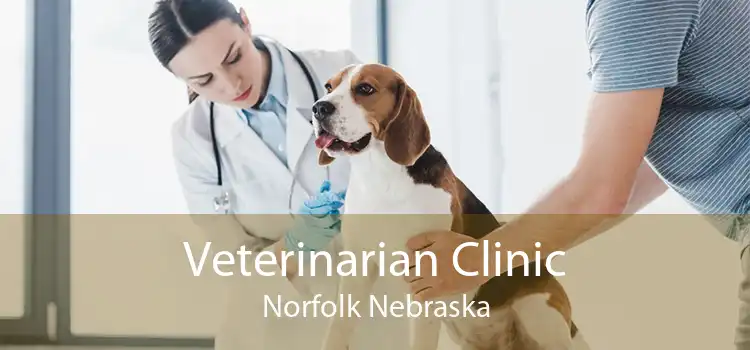 Veterinarian Clinic Norfolk Nebraska