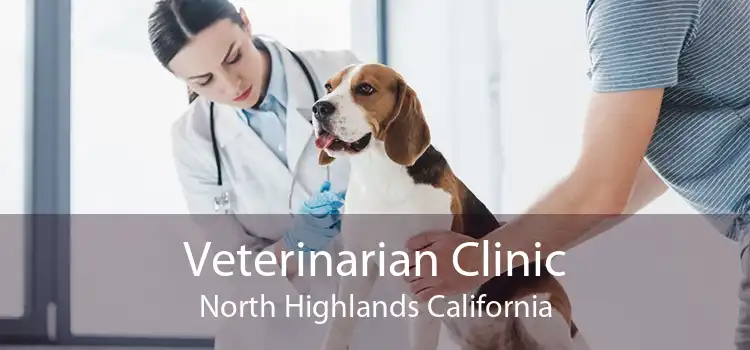 Veterinarian Clinic North Highlands California