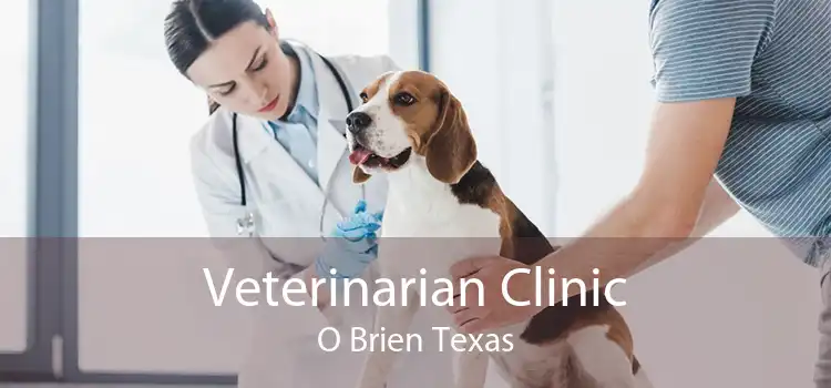 Veterinarian Clinic O Brien Texas