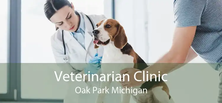 Veterinarian Clinic Oak Park Michigan