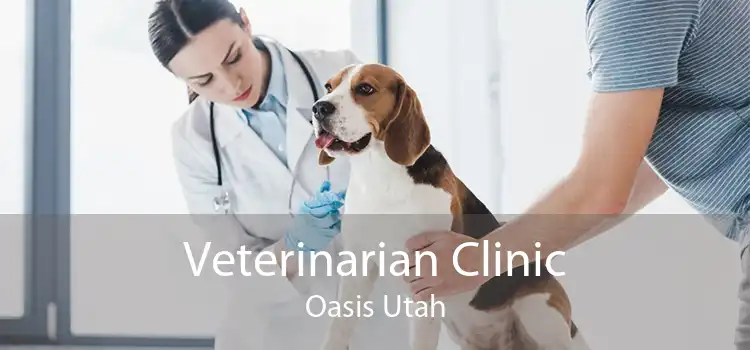 Veterinarian Clinic Oasis Utah