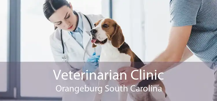 Veterinarian Clinic Orangeburg South Carolina