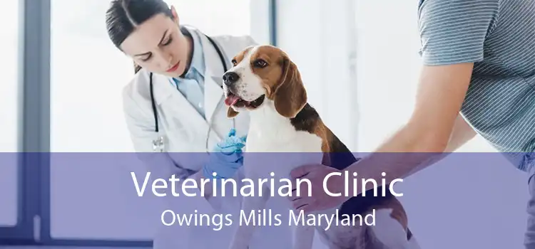 Veterinarian Clinic Owings Mills Maryland