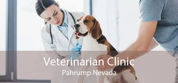 Veterinarian Clinic Pahrump Nevada