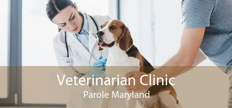 Veterinarian Clinic Parole Maryland