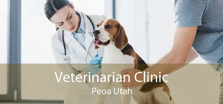 Veterinarian Clinic Peoa Utah