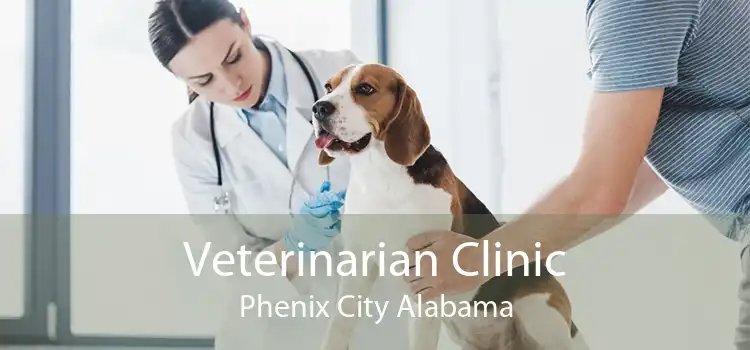 Veterinarian Clinic Phenix City Alabama