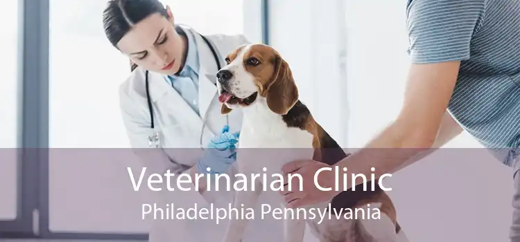 Veterinarian Clinic Philadelphia Pennsylvania