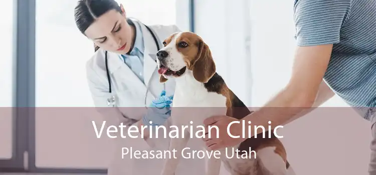 Veterinarian Clinic Pleasant Grove Utah