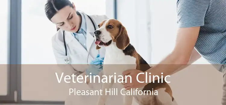 Veterinarian Clinic Pleasant Hill California