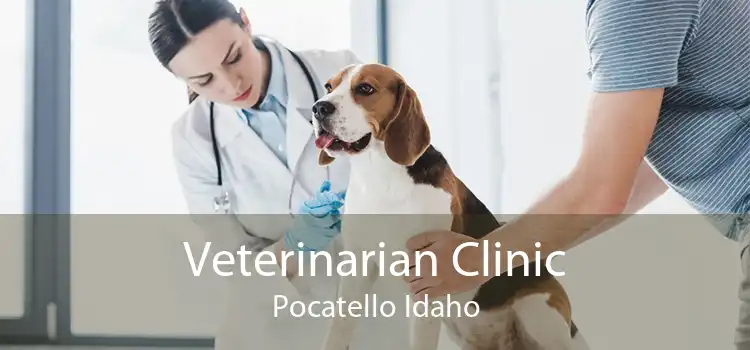 Veterinarian Clinic Pocatello Idaho
