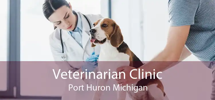 Veterinarian Clinic Port Huron Michigan