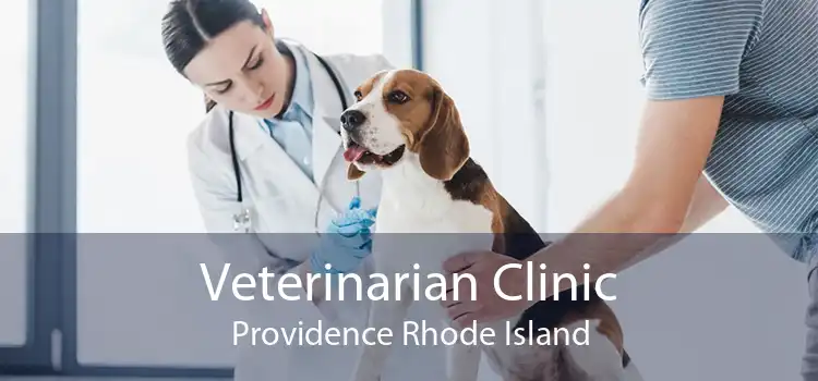 Veterinarian Clinic Providence Rhode Island