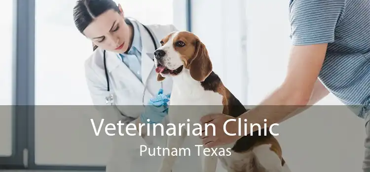 Veterinarian Clinic Putnam Texas