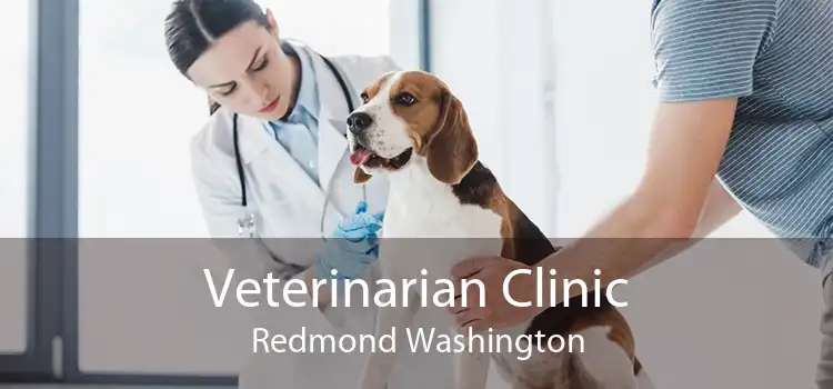 Veterinarian Clinic Redmond Washington
