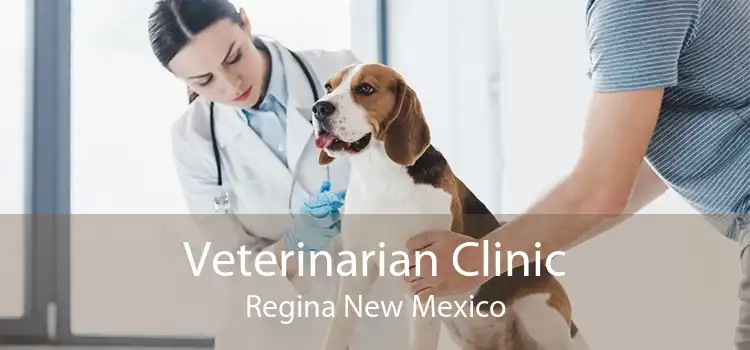 Veterinarian Clinic Regina New Mexico