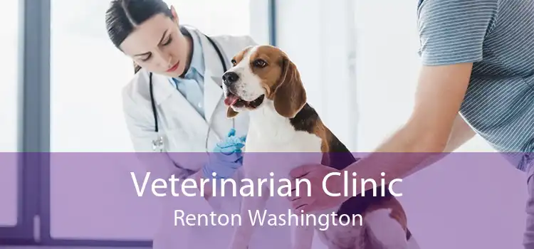 Veterinarian Clinic Renton Washington