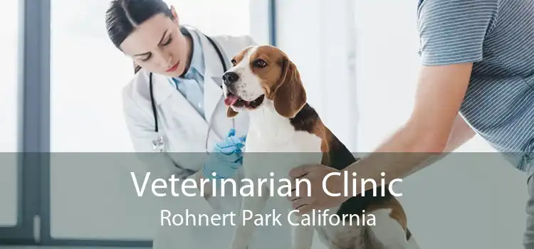 Veterinarian Clinic Rohnert Park California