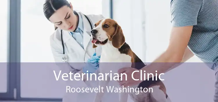 Veterinarian Clinic Roosevelt Washington