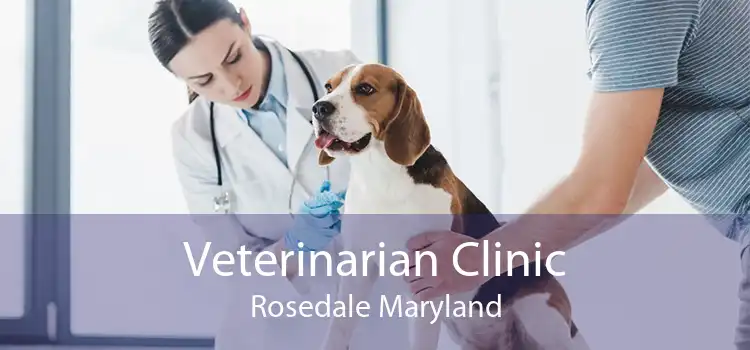 Veterinarian Clinic Rosedale Maryland