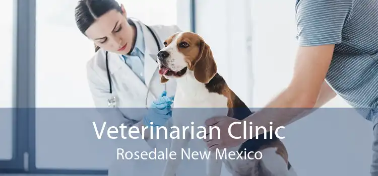 Veterinarian Clinic Rosedale New Mexico