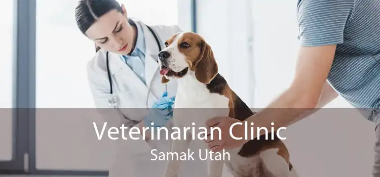 Veterinarian Clinic Samak Utah
