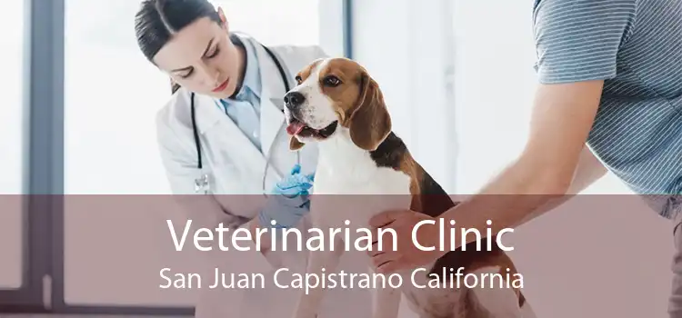 Veterinarian Clinic San Juan Capistrano California
