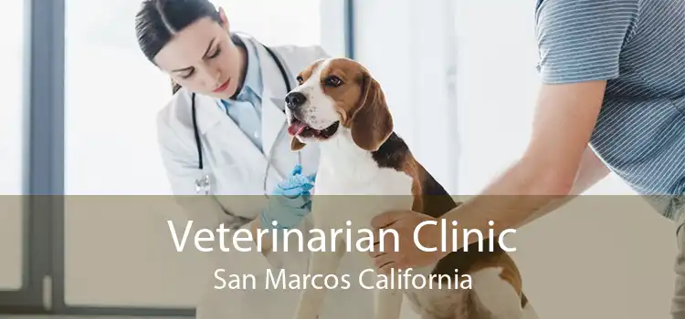 Veterinarian Clinic San Marcos California