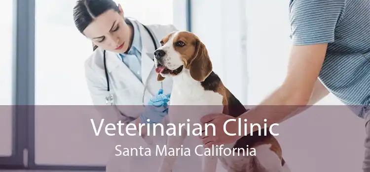 Veterinarian Clinic Santa Maria California