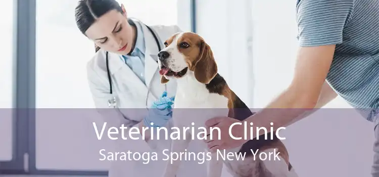 Veterinarian Clinic Saratoga Springs New York