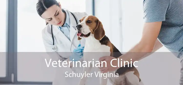 Veterinarian Clinic Schuyler Virginia