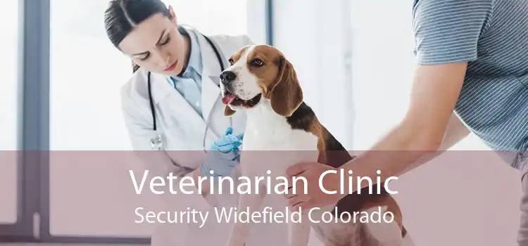 Veterinarian Clinic Security Widefield Colorado